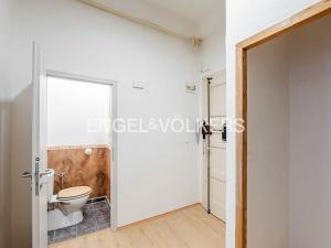 Pronájem bytu 2+kk, Praha - Žižkov, Čajkovského, 54 m2