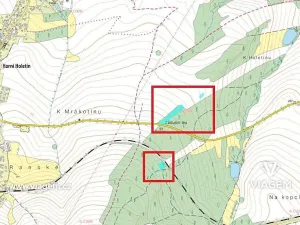 Prodej podílu lesa, Bezděkov pod Třemšínem, 5668 m2