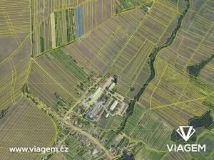 Prodej podílu sadu/vinice, Labuty, 450 m2