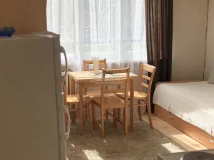 Pronájem bytu 1+kk, Říčany, U Olivovny, 24 m2