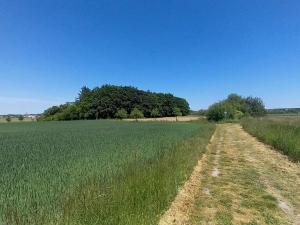 Prodej pole, Čestlice, Říčanská, 480 m2