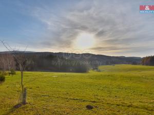 Prodej pozemku pro bydlení, Nový Hrádek, 12559 m2