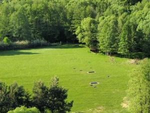 Prodej zemědělského objektu, Cheb, 120000000 m2