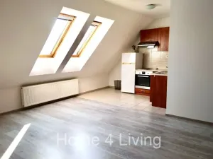 Pronájem bytu 1+kk, Brno, Čeňka Růžičky, 40 m2