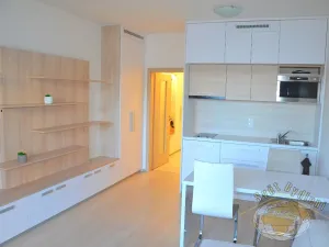 Pronájem bytu 1+kk, Praha - Vršovice, Novgorodská, 30 m2