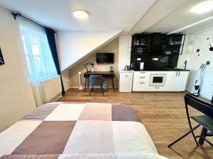 Pronájem bytu 1+kk, Praha - Nové Město, Wenzigova, 30 m2