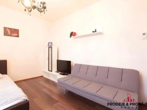 Prodej bytu 1+kk, Praha - Vysočany, Freyova, 22 m2