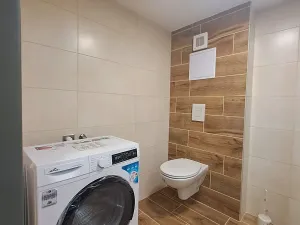 Pronájem bytu 1+kk, Brno, Koliště, 25 m2