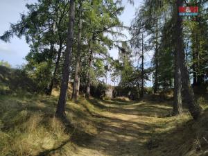 Prodej pozemku, Razová, 13529 m2