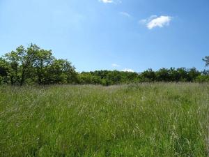 Prodej zahrady, Židlochovice, 4210 m2