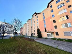 Pronájem bytu 1+kk, Brno, Bělohorská, 48 m2