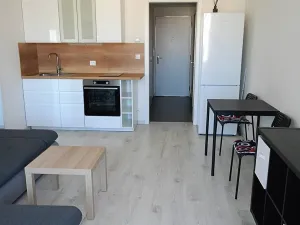 Pronájem bytu 1+kk, Praha - Třebonice, U Radosti, 32 m2