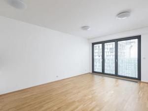 Pronájem bytu 1+kk, Praha - Žižkov, Olšanská, 37 m2