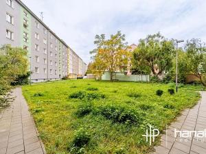 Pronájem bytu 1+kk, Olomouc, Jeremenkova, 22 m2