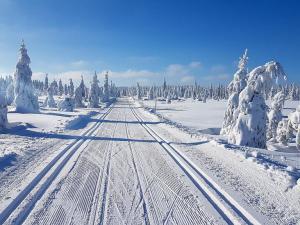 Pronájem bytu 1+kk, Janov nad Nisou - Hrabětice, 22 m2