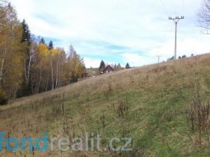 Prodej pozemku, Říčky v Orlických horách, 3863 m2