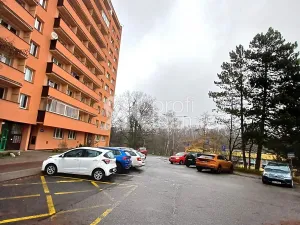 Prodej bytu 1+1, Ostrava, Srbská, 43 m2