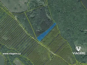 Prodej podílu lesa, Suchá Loz, 1526 m2