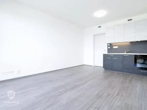 Pronájem bytu 1+kk, Praha - Třebonice, U Radosti, 30 m2