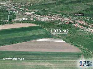 Prodej podílu pole, Javorník, 516 m2