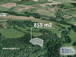 Prodej podílu lesa, Bošice, 1711 m2