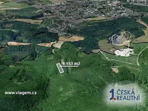 Prodej podílu lesa, Brno, 1092 m2