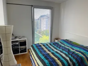 Pronájem bytu 2+kk, Praha - Vinohrady, Korunní, 55 m2