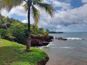 Prodej rodinného domu, Roatán, Honduras, 81 m2