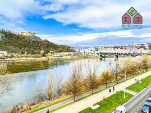 Pronájem bytu 2+1, Ústí nad Labem, Střekovské nábřeží, 75 m2