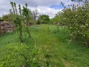 Dražba rodinného domu, Cizkrajov, 44 m2