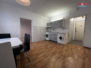 Pronájem bytu 2+kk, Sezimovo Ústí, K Hájence, 39 m2