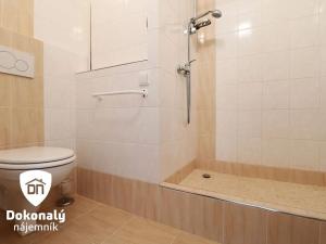 Pronájem bytu 2+kk, Praha - Háje, Štichova, 43 m2