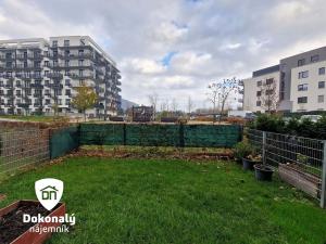 Pronájem bytu 2+kk, Praha - Vysočany, Svatošových, 53 m2