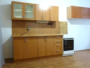 Pronájem atypického bytu, Praha - Vinohrady, Slezská, 71 m2