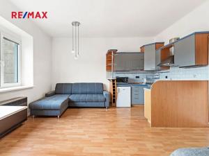 Prodej bytu 1+kk, Praha - Nusle, Na Veselí, 40 m2