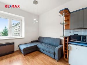 Prodej bytu 1+kk, Praha - Nusle, Na Veselí, 40 m2