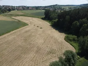 Dražba louky, Radomyšl, 16147 m2