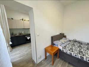 Prodej bytu 2+kk, Brno, Masarykova, 28 m2