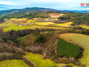 Prodej lesa, Dolní Třebonín - Štěkře, 1257 m2