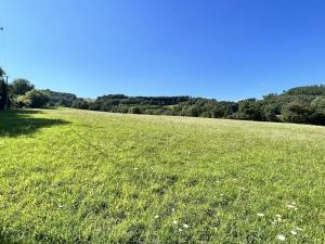 Prodej pozemku pro bydlení, Vyškovec, 29133 m2