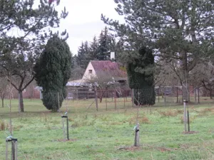 Dražba chaty, Chlumec nad Cidlinou, Pražská, 71 m2