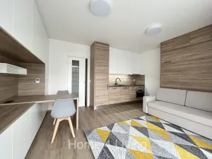 Pronájem bytu 1+kk, Brno, Trnitá, 38 m2