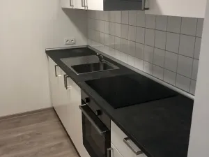 Pronájem bytu 1+kk, Brno, Křenová, 40 m2