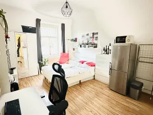 Pronájem bytu 1+kk, Praha - Žižkov, Fibichova, 35 m2