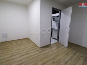 Pronájem bytu 2+kk, Dřísy, Hlavnovská, 50 m2