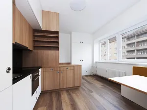 Pronájem bytu 1+kk, Brno, Botanická, 25 m2