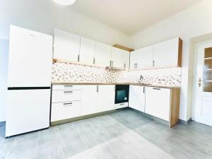 Pronájem bytu 2+1, Praha - Žižkov, Fibichova, 90 m2