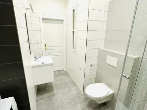 Pronájem bytu 2+1, Praha - Žižkov, Fibichova, 90 m2