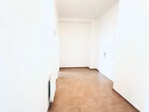 Pronájem bytu 2+1, Praha - Žižkov, Fibichova, 90 m2