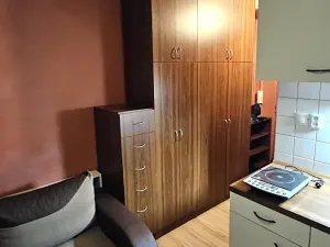 Pronájem bytu 1+kk, Most, U Věžových domů, 22 m2